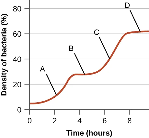 A growth curve graph with time in hours on the x-axis and density of bacteria as a percentage on the y-axis. An upward-sloping segment early in the curve is labelled A. It is followed by a plateau labelled B. A second upward-sloping segment follows, labelled C, ending in a final plateau labelled D.