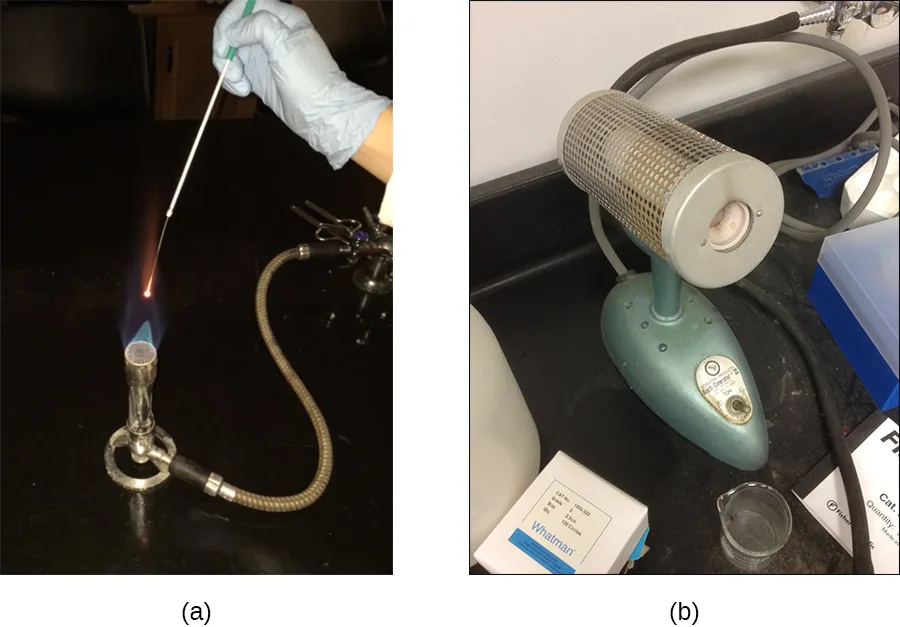 (a) A gloved hand holds a thin metal inoculating loop in the blue flame of a Bunsen burner on a dark lab bench. (b) A cylindrical bench-top bactericinerator, with a mesh metal chamber and a viewing port, connected by tubing, on the same bench.