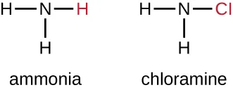 Two structural diagrams side by side. Ammonia: a central nitrogen bonded to three hydrogen atoms. Chloramine: a central nitrogen bonded to two hydrogen atoms and one chlorine atom, showing the substitution of one hydrogen by chlorine.