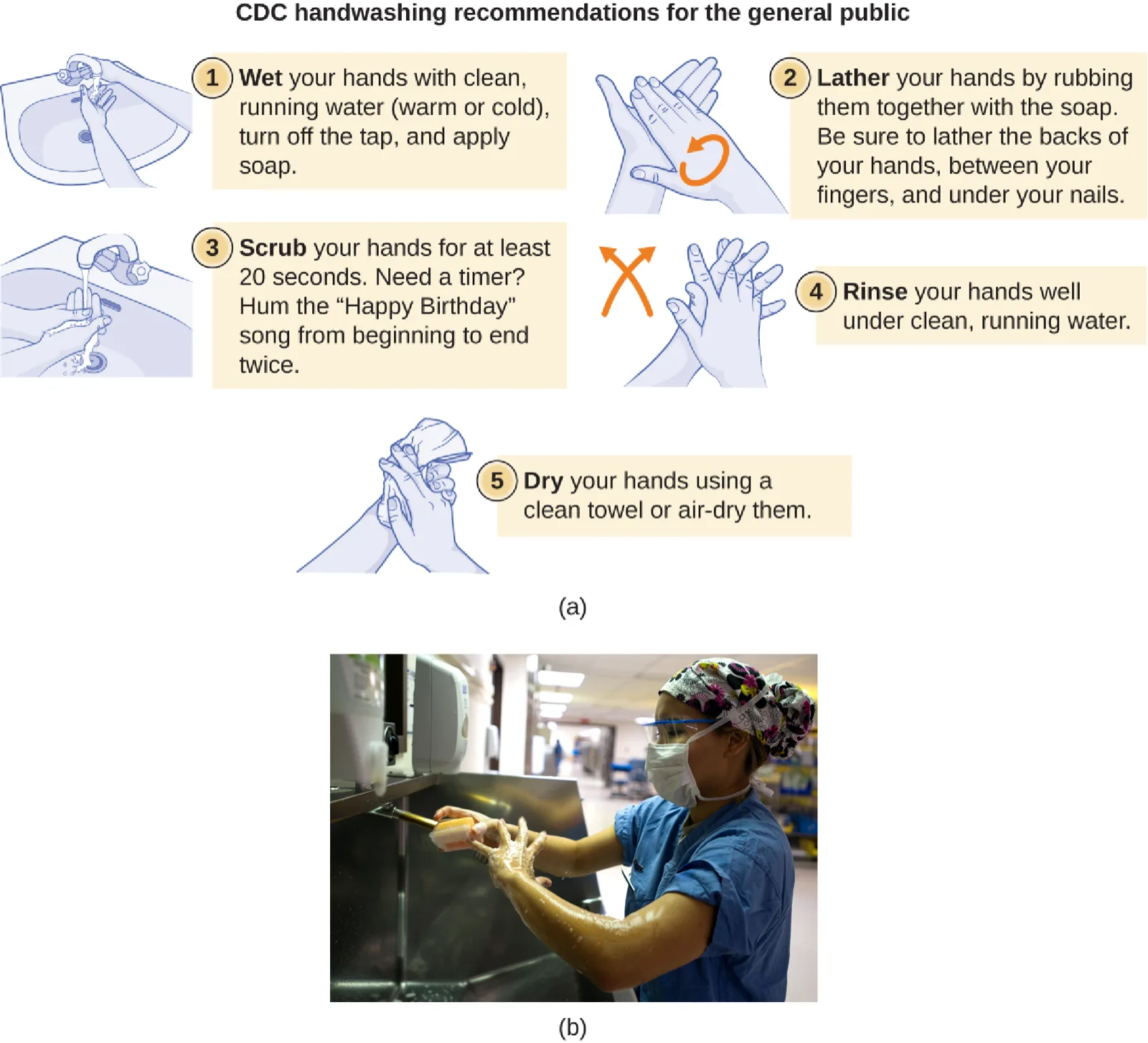 Two panels. (a) A CDC handwashing infographic titled "CDC handwashing recommendations for the general public" with five numbered steps: wet hands and apply soap; lather hands, the backs of the hands, between fingers, and under nails; scrub for at least 20 seconds; rinse under clean running water; dry with a clean towel or air-dry. (b) A photo of a masked, gowned health-care worker scrubbing her hands and forearms with a brush at a surgical sink.