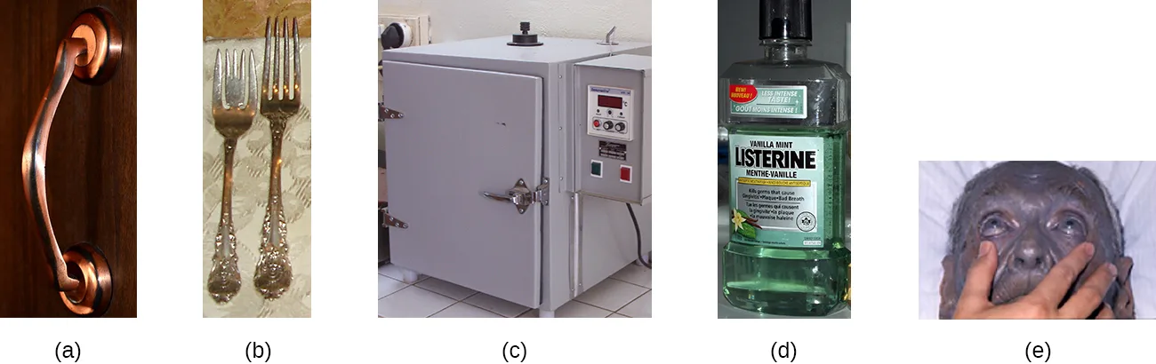 Five photos. (a) A copper door handle. (b) Two silver forks. (c) A closed white laboratory incubator cabinet with a front control panel. (d) A bottle of Listerine mouthwash. (e) A person's face and hands, showing the blue-gray skin discoloration of argyria.