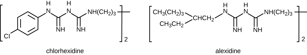 Two structural diagrams. Chlorhexidine: a chlorine-substituted benzene ring linked through a chain of nitrogen-containing biguanide groups to a symmetric second half ending in a propyl chain, drawn as a repeating bracketed unit. Alexidine: the same central biguanide chain, but each end terminates in a branched carbon-chain group instead of the chlorophenyl ring.