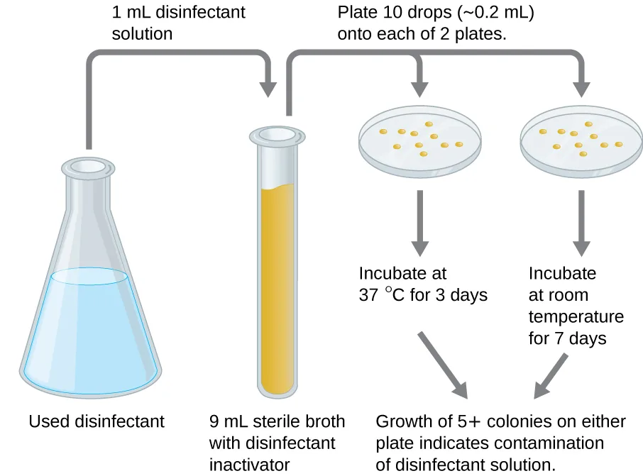 A diagram of the in-use test procedure: a flask of used disinfectant sends a 1 mL sample into a tube of 9 mL sterile broth containing a disinfectant-inactivating compound; ten drops (about 0.2 mL) of that mixture are plated onto each of two agar plates, one incubated at 37 °C for 3 days and the other at room temperature for 7 days.