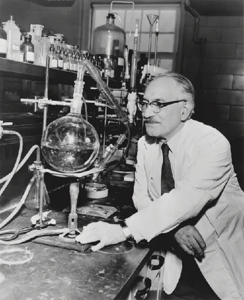 A black-and-white photograph of a balding man wearing glasses and a light-colored lab coat, leaning on a cluttered laboratory bench. In front of him sits a round-bottomed flask connected by glass tubing to condensers and other apparatus; more bottles and equipment line a shelf behind him.