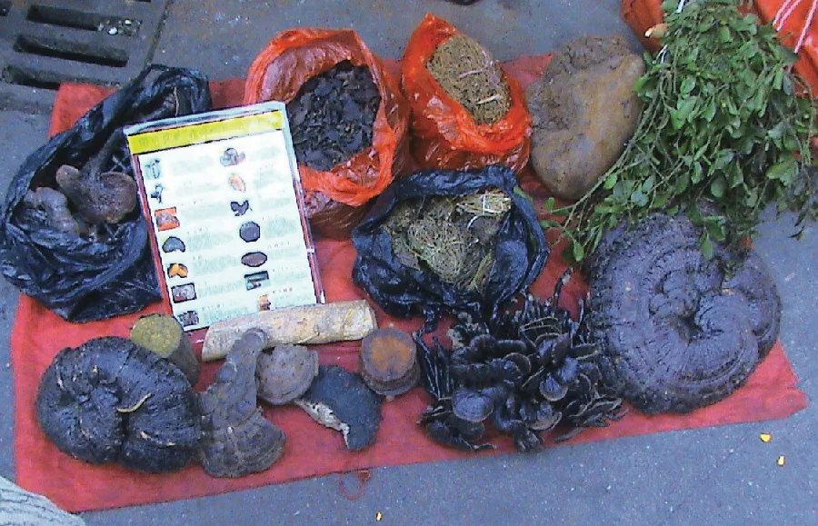 A color photograph looking down at a street vendor's red cloth spread on pavement, covered with items for sale: several dark, gnarled bracket-fungus specimens, a laminated card of small labeled photos, orange plastic bags of dried herbs and dark material, a pale round object, and a leafy green bundle of herbs.