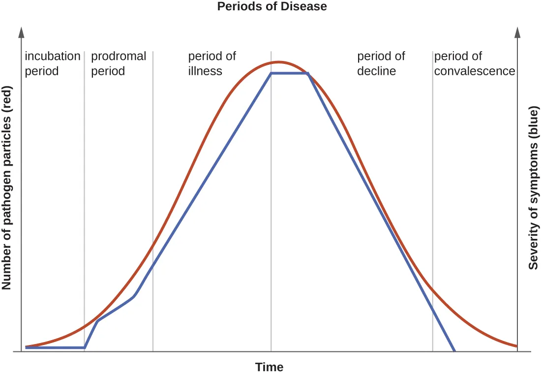 A line graph titled Periods of Disease plotting pathogen particle count (red line) and symptom severity (blue line) against time, both curves rising and falling together in a bell shape across five labeled periods: incubation, prodromal, illness, decline, and convalescence.